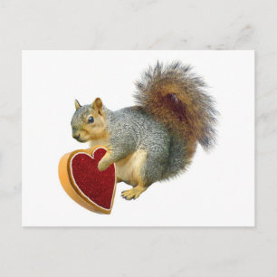 Cartão Postal De Festividades Squirrel Valentine Postcard