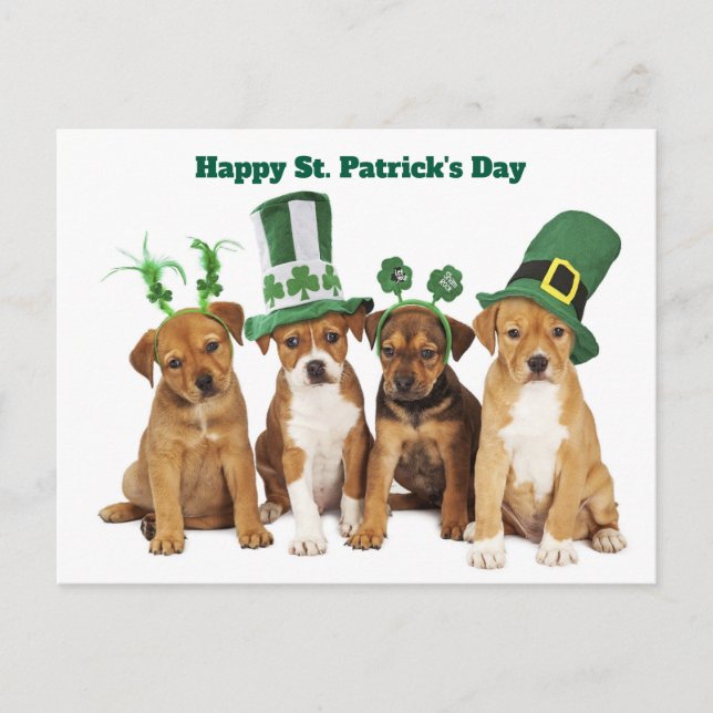 Cartão Postal De Festividades St. Patrick's Day  (Frente)