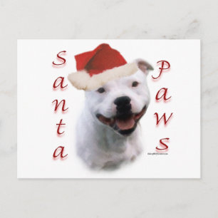 Cartão Postal De Festividades Staffordshire Bull Terrier Santa Paws