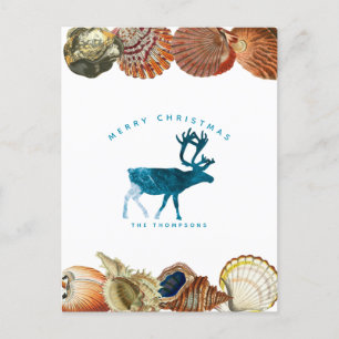 Cartão Postal De Festividades Summer Christmas Beach Seashell Reindeer