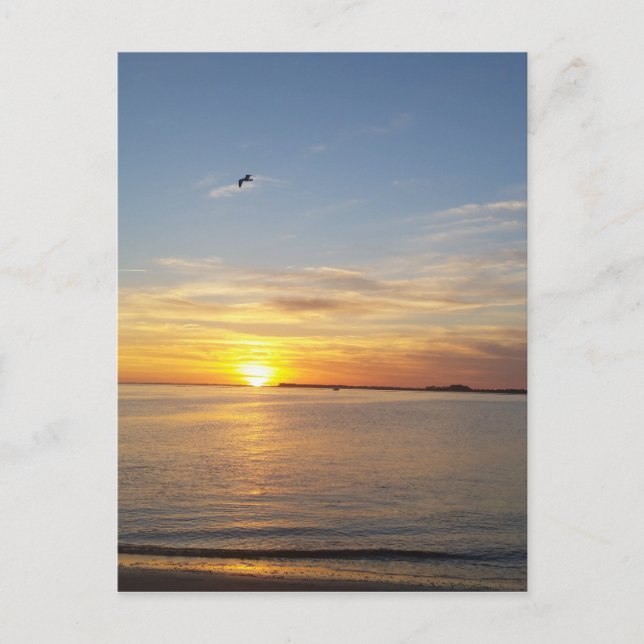 Cartão Postal De Festividades Sunset no Dia de Ação de Graças. (Frente)