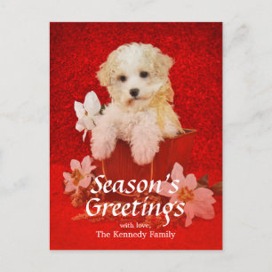 Cartão Postal De Festividades Sweet little Christmas puppy sitting in basket