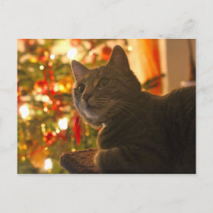 Cartão Postal De Festividades Tabby Cat Purr-fect Holiday Season