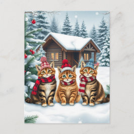 Cartão Postal De Festividades Tabby Cats in Preppy Winter Attire and Hat Winter