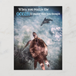 Cartão Postal De Festividades Tartaruga marinha e leão-marinho submarino