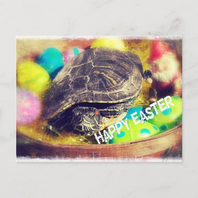 Cartão Postal De Festividades Tartaruga páscoa (Frente)