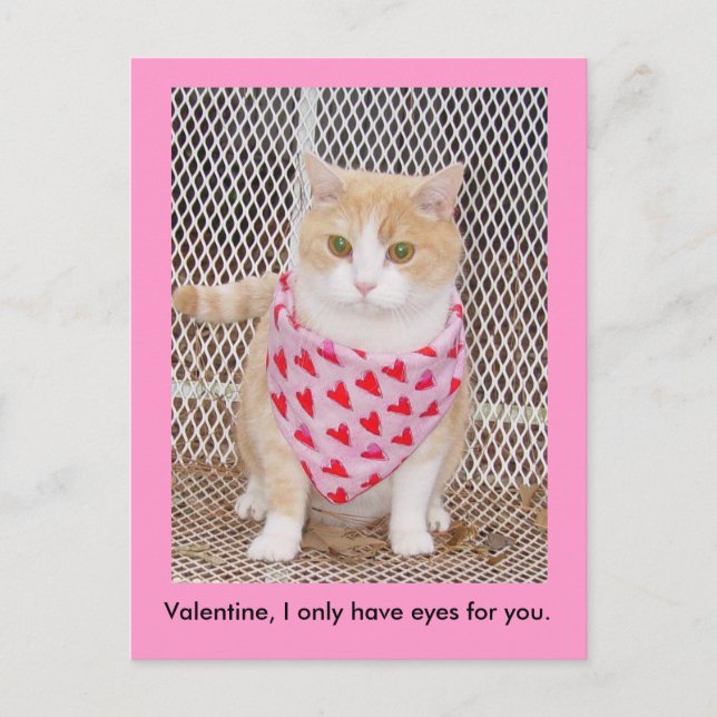 Cartão Postal De Festividades Tenha somente os olhos para você (Frente)