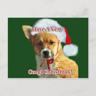 Cartão Postal De Festividades Tenha um Compaixão de Natal muito Corgi