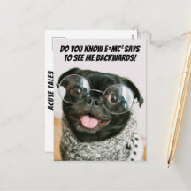 Teoria engraçada do animal cachorro pug chinês fof