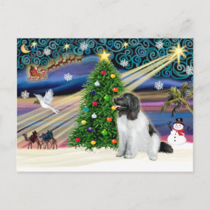 Cartão Postal De Festividades Terra Nova da Mágica de Natal (Landseer)