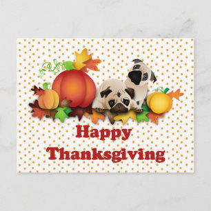 Cartão Postal De Festividades Thanksgiving Pugs and Pumpkins