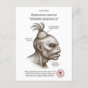 Cartão Postal De Festividades The Singing Barnacle - Biologia Lovecraftian