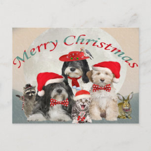 Cartão Postal De Festividades Tibetano - Terrier Christmas com amigos