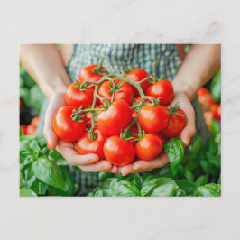 Cartão Postal De Festividades Tomates vínicos com Charme Countryside