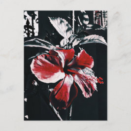 Cartão Postal De Festividades Trabalho de arte de Hibiscus Tropical do Jardim