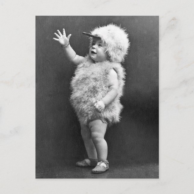 Cartão Postal De Festividades Traje da páscoa da menina do terno da galinha do (Frente)