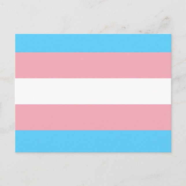 Cartão Postal De Festividades Transgender Flag (Frente)