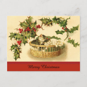 Cartão Postal De Festividades Três gatinhos em um cartão-postal