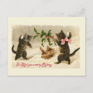 Cartão Postal De Festividades Três gatos e um galho Holly