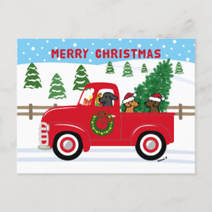 Cartão Postal De Festividades Três Labradores Red Truck Natal