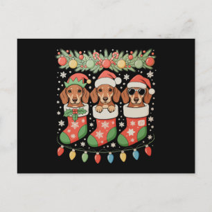 Cartão Postal De Festividades Três Meias de Natal Divertidas de Dachshund de Elf