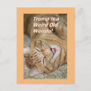 Cartão Postal De Festividades Trump estranho