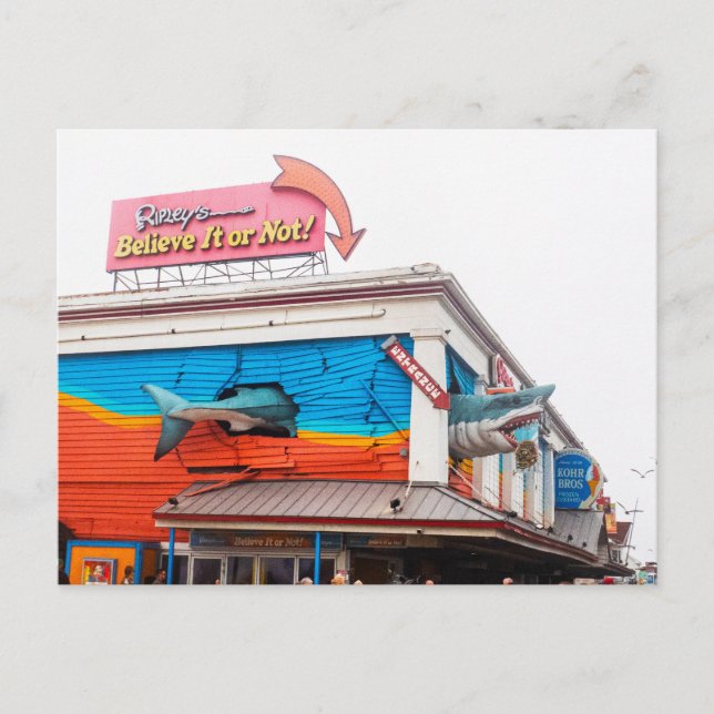 Cartão Postal De Festividades Tubarão na cidade de Ocean, Maryland, EUA (Frente)