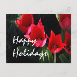 Cartão Postal De Festividades Tulipas Vermelhas