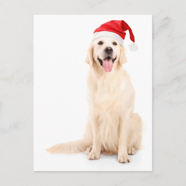 Cartão Postal De Festividades Um Cachorro Vestindo Um Chapéu De Natal (Frente)