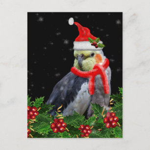 Cartão Postal De Festividades Um Cartão De Natal Muito Berry