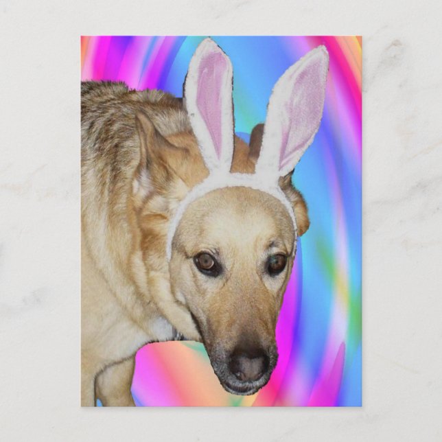 Cartão Postal De Festividades Um Coelhinho Da Páscoa? (Frente)