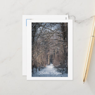 Cartão Postal De Festividades Um Dia de Inverno em Kluisbos Bélgica
