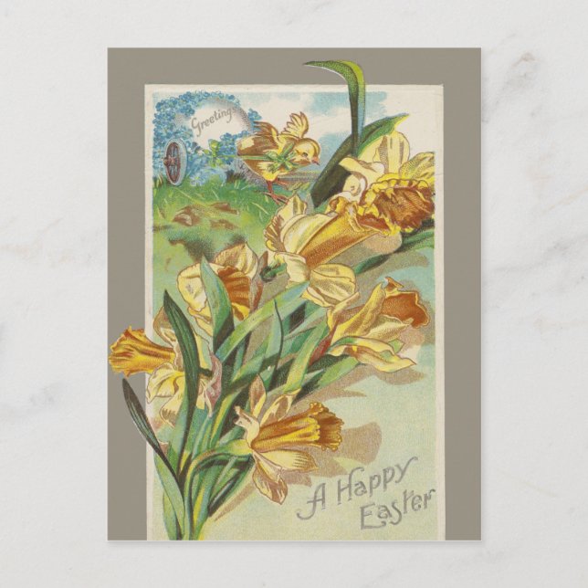 Cartão Postal De Festividades Um felz pascoa (Frente)