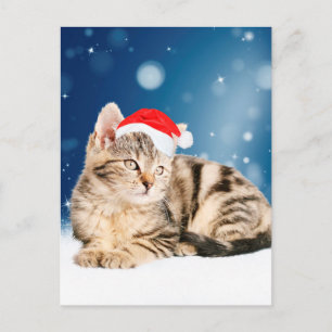 Cartão Postal De Festividades Um gato bonito vestindo o Papai Noel vermelho e a 