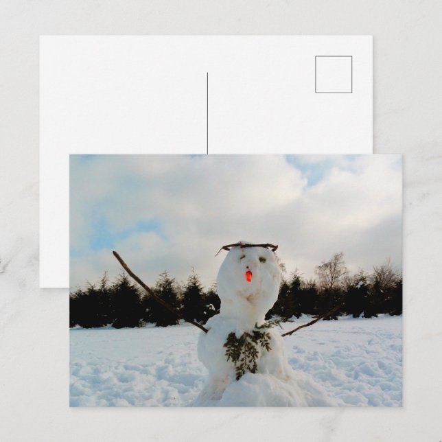 Cartão Postal De Festividades Um verdadeiro Snowman e uma fotografia da paisagem (Frente/Verso)