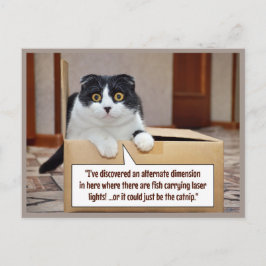 Cartão Postal De Festividades Uma dimensão alternativa