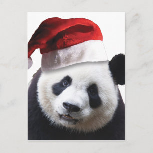 Cartão Postal De Festividades Urso de Panda de Natal
