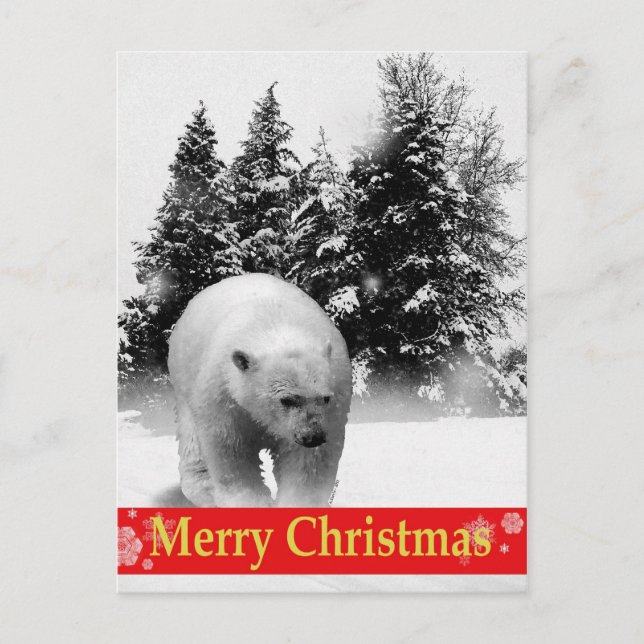 Cartão Postal De Festividades Urso polar do Feliz Natal! (Frente)