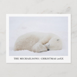 Cartão Postal De Festividades Urso Polar Dormindo