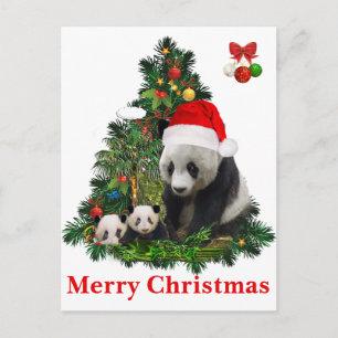 Cartão Postal De Festividades Ursos panda fazem o Natal 