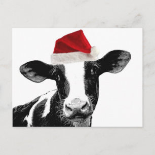 Cartão Postal De Festividades Vaca do papai noel - vaca de leiteria que veste o