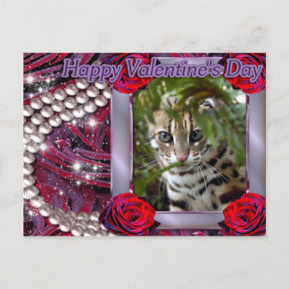 Cartão Postal De Festividades val-bengal-cat-00073-6x4