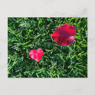 Cartão Postal De Festividades Valentine da natureza: folha vermelha em forma de