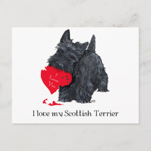 Cartão Postal De Festividades Valentine de Scottish Terrier