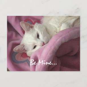 Cartão Postal De Festividades Valentine Post Card
