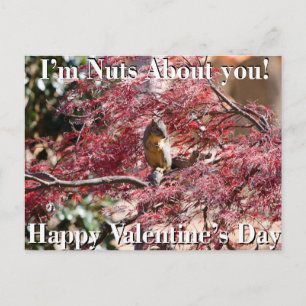 Cartão Postal De Festividades Valentine's Day Card for school