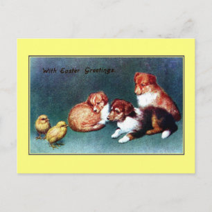 Cartão Postal De Festividades Vintage 1906 Easter greetings; colli puppies