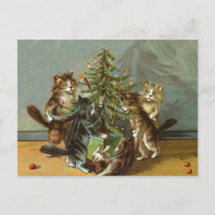 Cartão Postal De Festividades Vintage Christmas cats