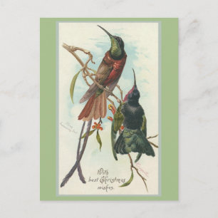 Cartão Postal De Festividades Vintage Christmas King Humming Birds