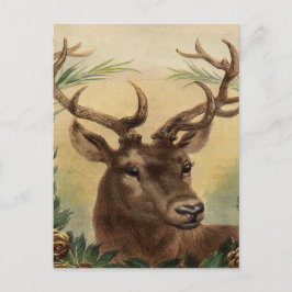 Cartão Postal De Festividades Vintage Deer Buck Stag Natureza Natal Russo